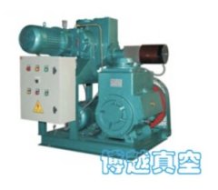罗茨旋片真空机组的图片