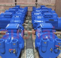 SK系列水环式真空泵的图片