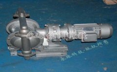 DBY型电动隔膜泵的图片