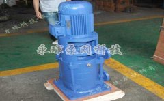 DL型立式多级离心泵的图片