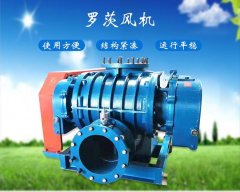 粉煤灰碳酸钙水泥气体输送罗茨风机的图片