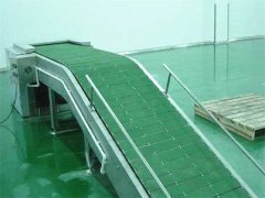 链板输送机的图片