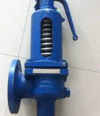 SV607安全阀的图片