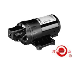 DP微型隔膜泵的图片