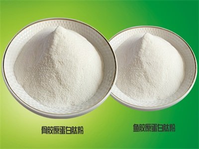 专注胶原+，东宝生物2022年净利润同比增长近200%