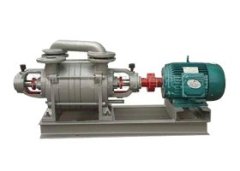 2sk水环真空泵的图片