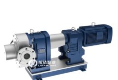 化工转子泵的图片