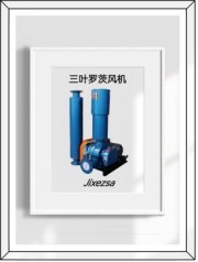 三叶罗茨风机的图片