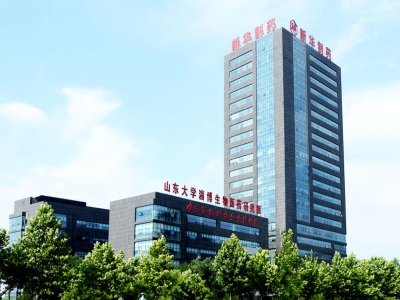 关键技术取得突破，新华制药加快推进重点项目