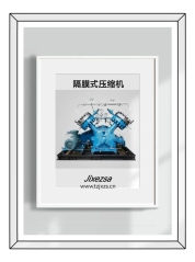 隔膜式压缩机的图片