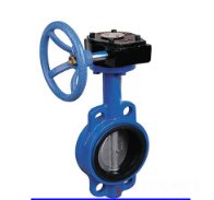 对夹式蜗轮传动软密封蝶阀的图片