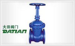 德标闸阀的图片