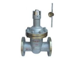 FDZ45H 永磁防盗闸阀的图片