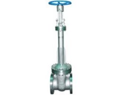 DZ40Y-16/25 低温闸阀的图片