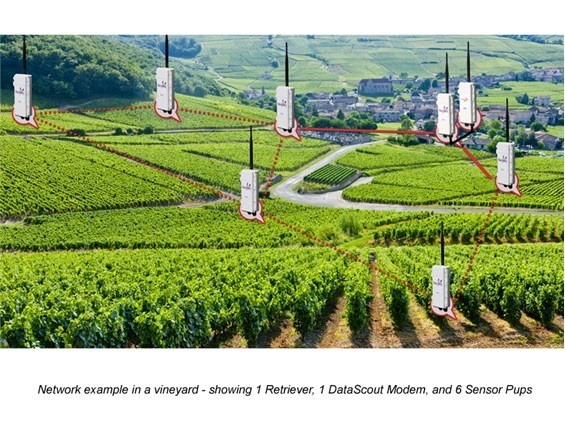 SpecConnect无线网络监测系统　的图片