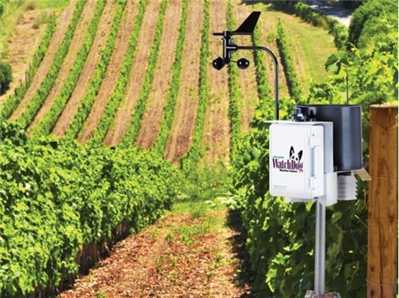 WatchDog2900ET自动气象站的图片