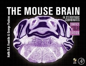 小鼠脑图谱/ The Mouse Brain的图片