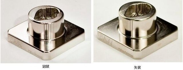 兔脑切片模具的图片