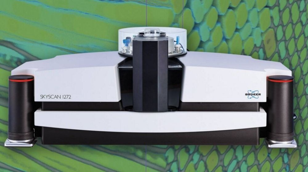 高分辨率X射线显微CT的图片