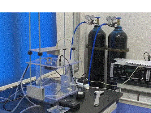 小鼠清醒活动笼的图片