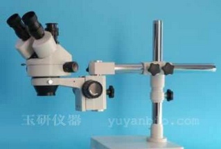 动物手术显微镜的图片