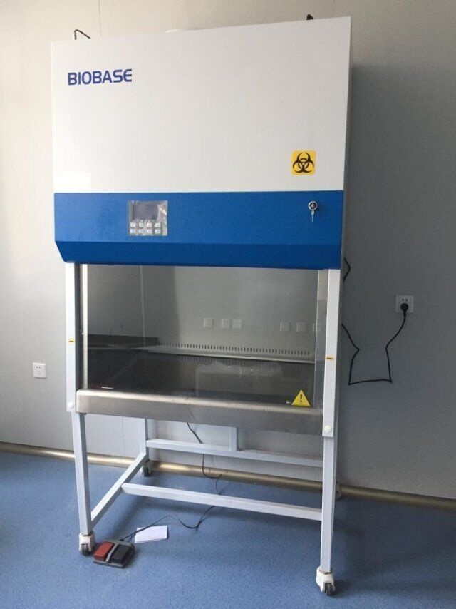 鑫贝西双人半排生物安全柜BSC-1500IIA2-X的图片