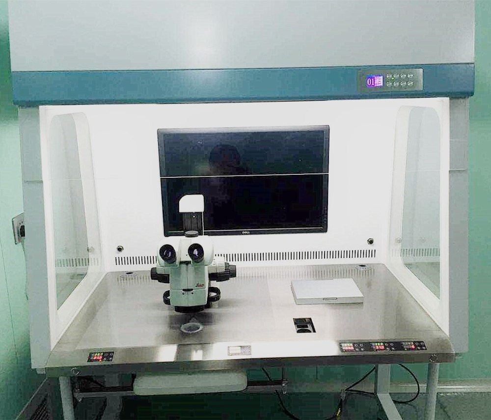 IVFD工作站的图片