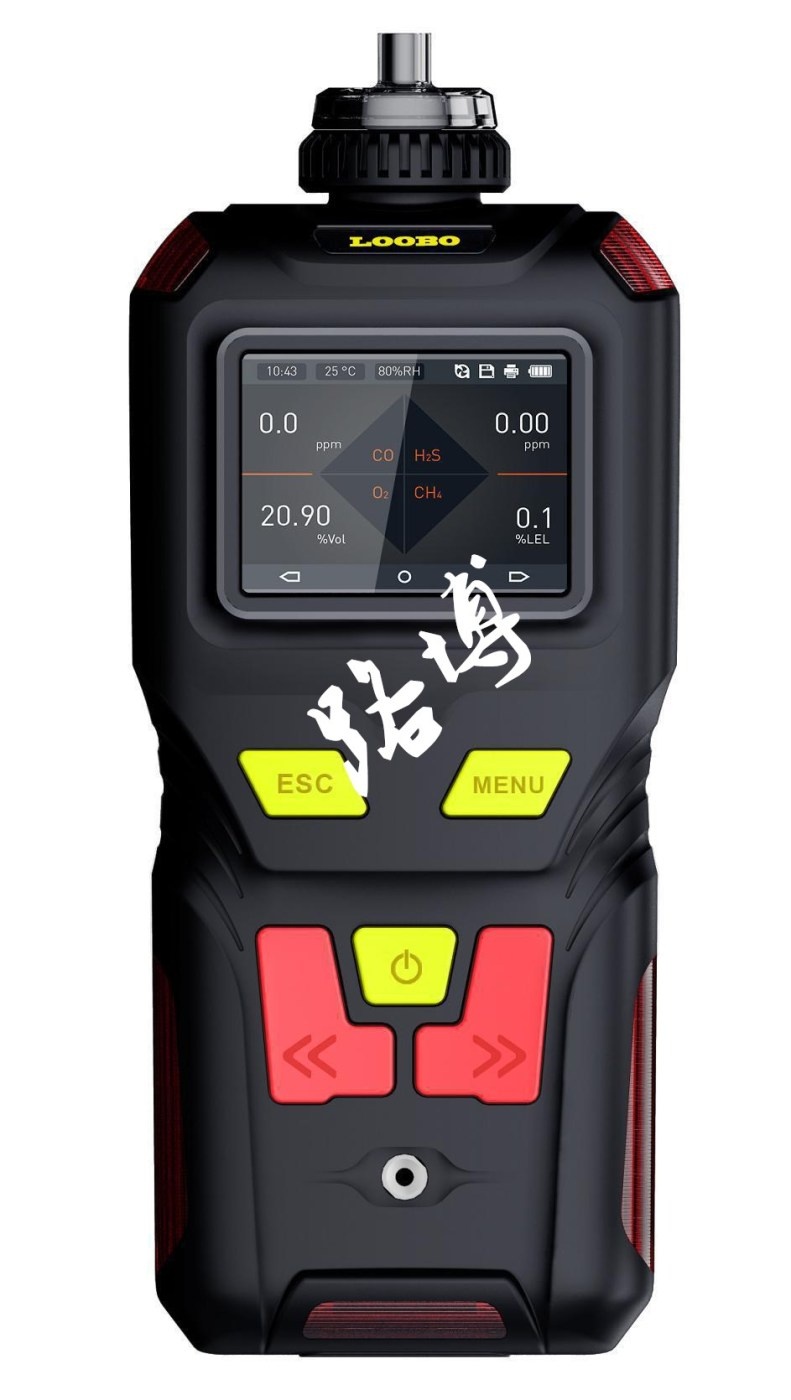 路博LB-MS4X泵吸四合一多气体检测仪的图片