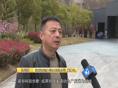 碳酸钙产值一年提升25%！宣城鸿升钙业是行业升级进步的一个“缩影”