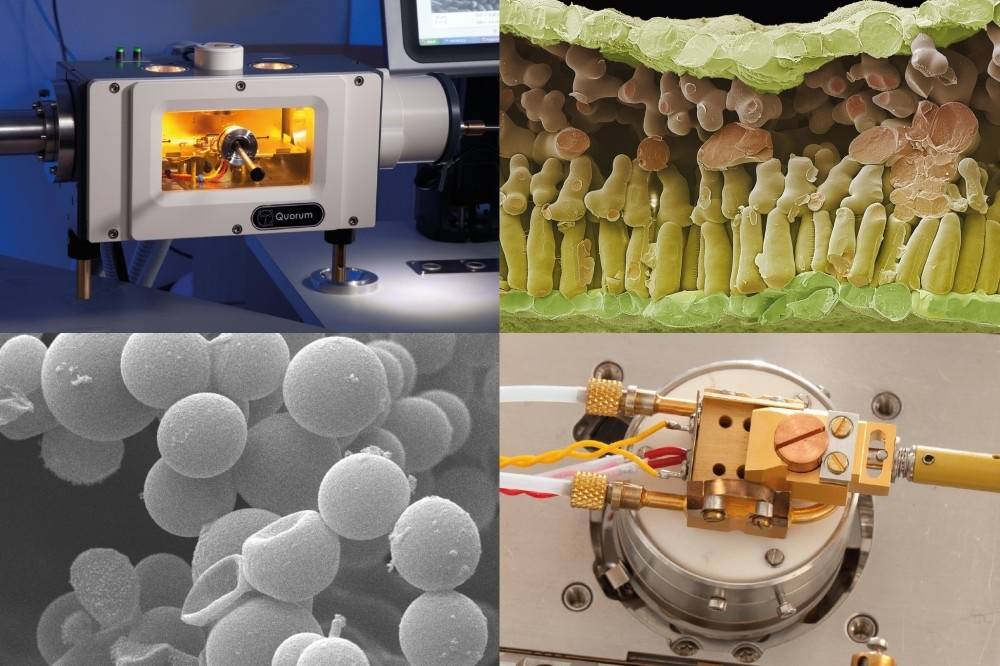 QUORUM扫描电镜冷冻传输CryoSEM的图片