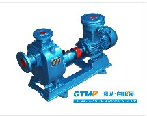 铸铁自吸泵的图片