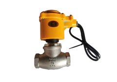 活塞式电磁阀的图片