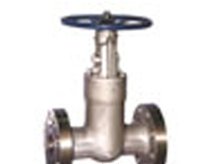 压力自紧封锻钢法兰闸阀的图片