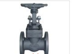 法兰锻钢闸阀的图片