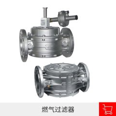 燃气过滤器的图片