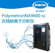 在线钠离子分析仪Polymetron NA9600 sc的图片