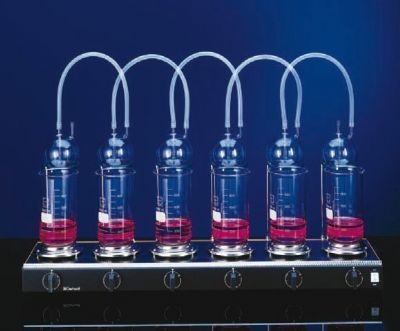 传统粗纤维消化系统（Crude Fibre Digestion）的图片