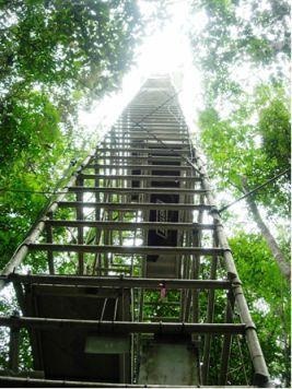 CO2-H2O气体稳定同位素廓线测量系统的图片