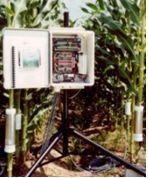 Flow32包裹式植物茎流系统的图片