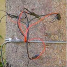 SF-L植物茎流仪的图片