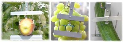 蔬菜水果直径测量仪的图片