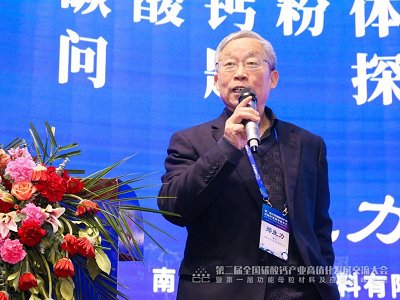 钙粉团聚是什么原因？要怎么解决？——访南京利可生新材料有限公司研究员级高级工程师郑生力