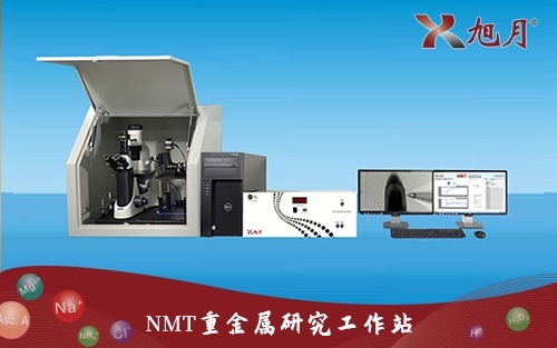 NMT重金属研究工作站的图片