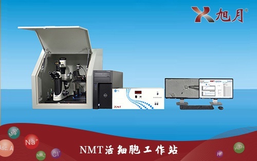 NMT活细胞工作站的图片