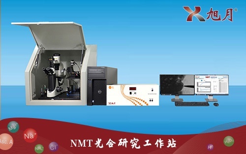 NMT光合研究工作站的图片