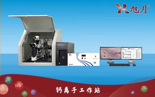 Ca2+工作站的图片