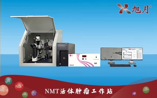 NMT活体肿瘤工作站的图片