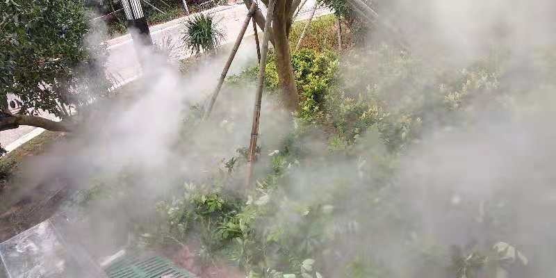 园林景观造雾的图片