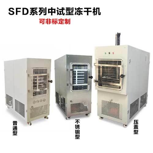 水果冷冻干燥机的图片