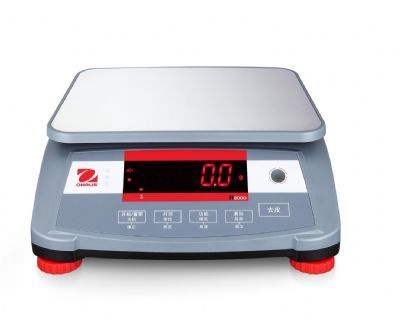 计重秤R2000的图片
